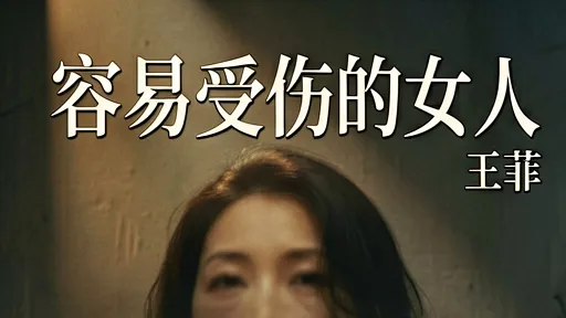 容易受伤的女人 - 王菲