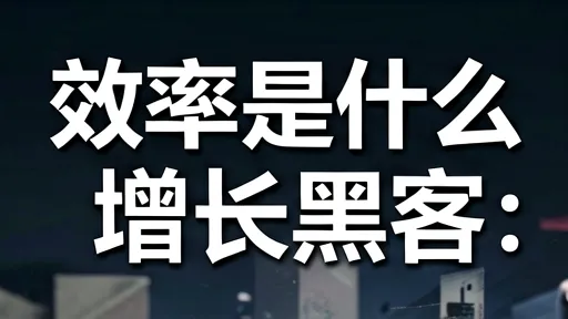 效率是什么 vs 增长黑客:深度解析与选择指南
