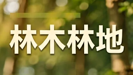 林木林地权属登记新规解读：办证流程、避坑指南与核心变化